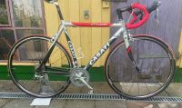 Rennrad Casati Challange Rh 56 (55) Ultegra/105 wie Colnago Niedersachsen - Delmenhorst Vorschau