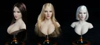 Sexy Frauen Köpfe für Phicen TB League & Hot Toys Körper Niedersachsen - Emmerthal Vorschau