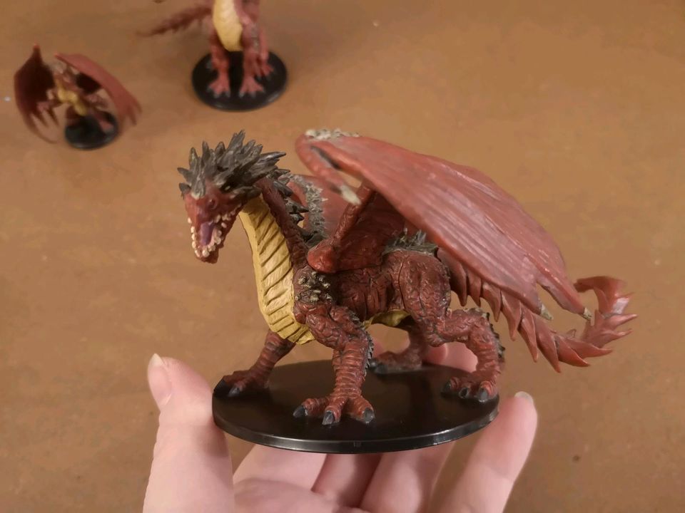 Pathfinder Dungeons and Dragons Red Dragon 3er Set Evolution in Stadtbergen