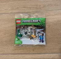 Lego Minecraft 30647 Mecklenburg-Vorpommern - Boizenburg/Elbe Vorschau