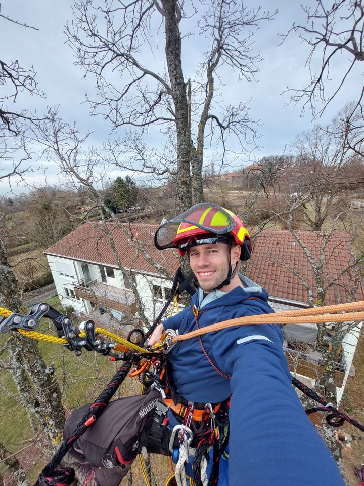 Baumarbeiten, Baumpflege, Baumfällung, Kronenpflege, Rückschnitt in Waiblingen