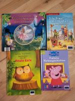 Verschiedene Kinderbücher Hessen - Taunusstein Vorschau