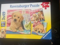 Hunde Puzzle von Ravensburger, Neu, 5 Jahre, 3x49 Teile Düsseldorf - Volmerswerth Vorschau
