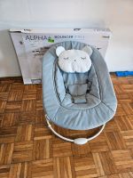 Hauck Baby Hochstuhl Aufsatz Alpha Bouncer 2 in 1 Bayern - Waldsassen Vorschau