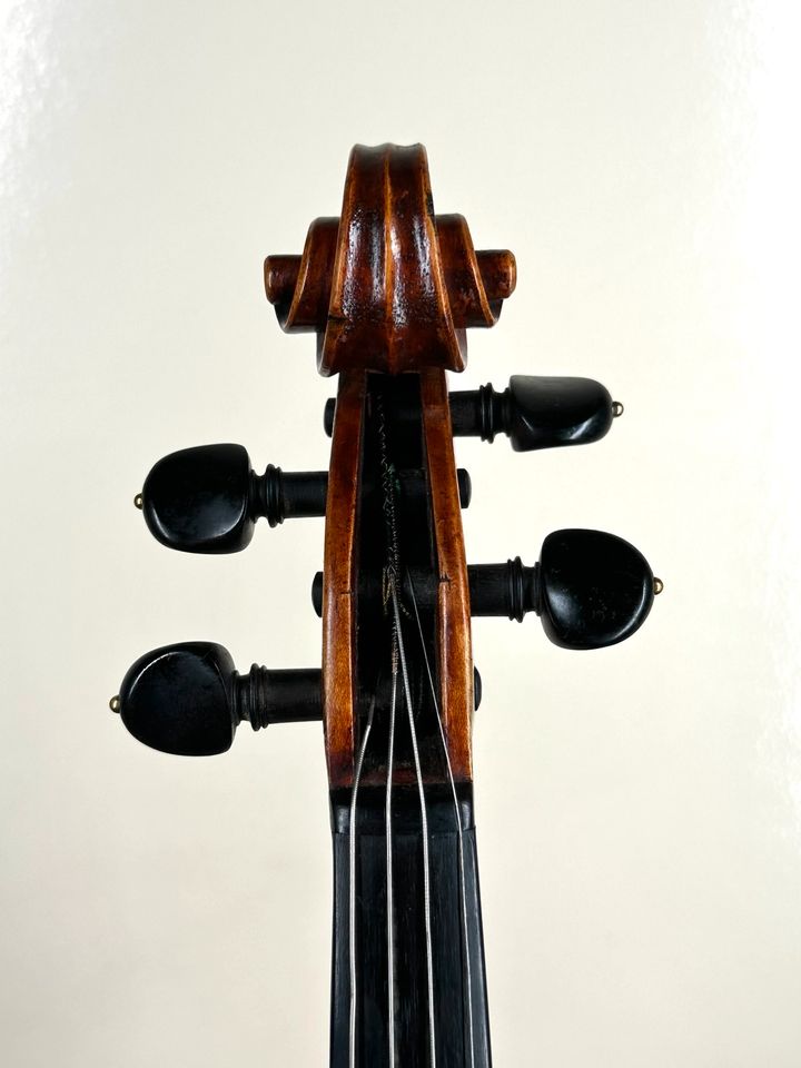 Geige mit Zettel Scarampella in Berlin