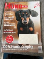 Der Hund Zeitschrift November 2023-2024 Schleswig-Holstein - Sülfeld Vorschau