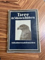 Tiere in schönen Bildern die blauen Bücher 1931 altdeutsche Brandenburg - Jüterbog Vorschau