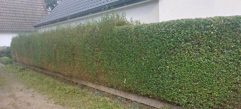 ❗️✅ ZAUN AUFSTELLEN • Gartenpflege in Steinfurt