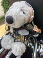 Harley Maskottchen Snoopy in Rosenheim gestohlen - Bitte um Hilfe Bayern - Moosach (Landkreis Ebersberg) Vorschau
