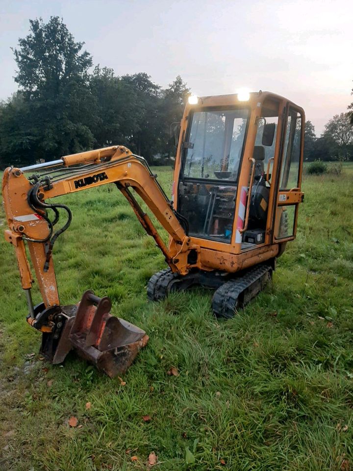 Minibagger Baggerarbeiten Büsche Hecke entfernen Gartenarbeiten in Jever