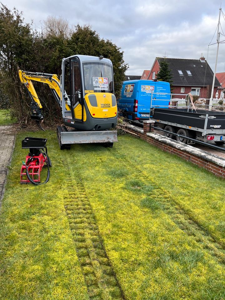 Hecke entfernen jetzt Termine sichern !!! in Westerholt