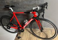 Neu Rennrad Bottecchia 8avio Revolution Rahmenhöhe 51cm Bayern - Rehau Vorschau