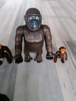 Gorilla und Schimpansen Baden-Württemberg - Karlsruhe Vorschau