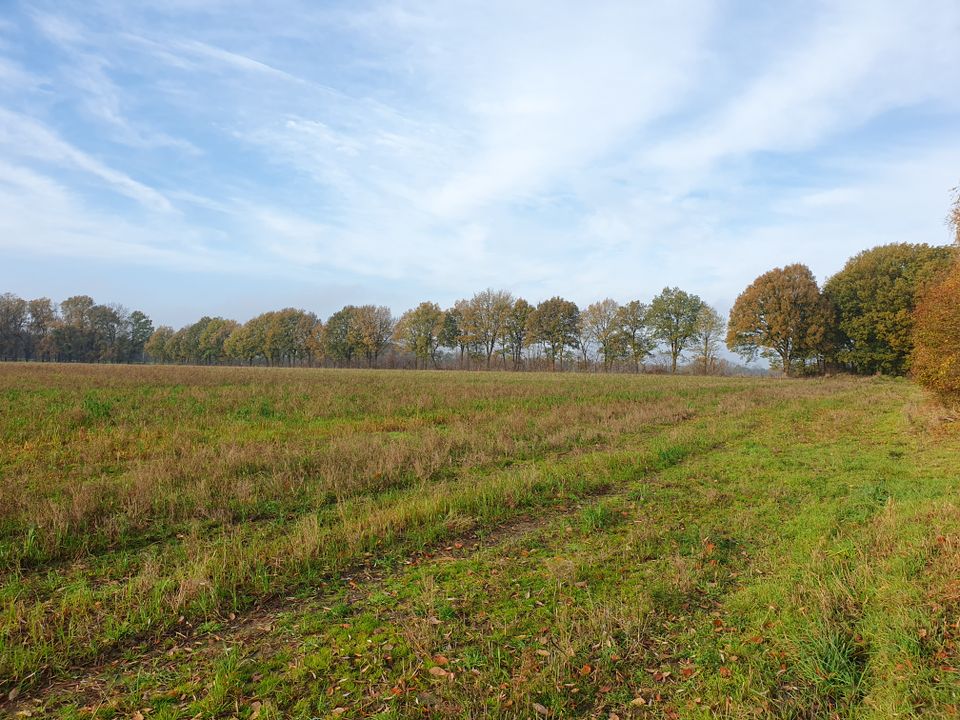 Das Stadthaus zum wohlfühlen im kommenden Baugebiet in Bad Fallingbostel. in Bad Fallingbostel