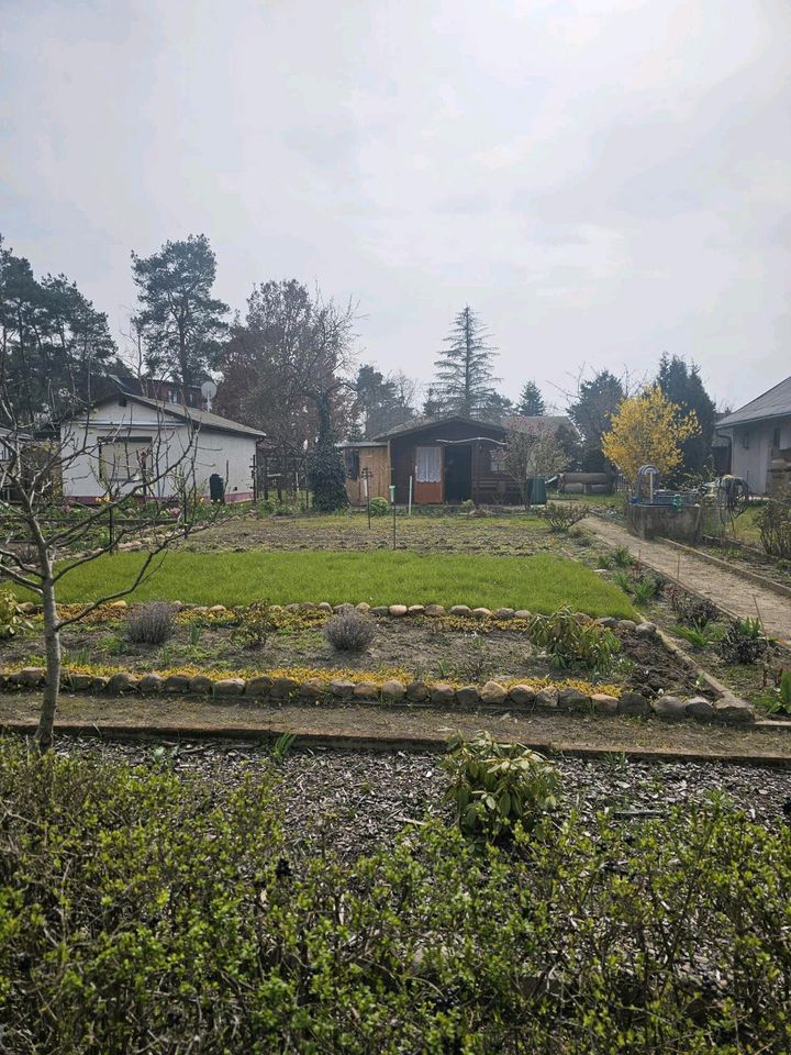 Kleingarten zur Pacht in Bad Schmiedeberg