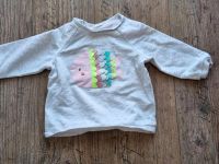 H&M Pulli Baby Gr. 68 grau mit buntem Fisch Baden-Württemberg - Breisach am Rhein   Vorschau