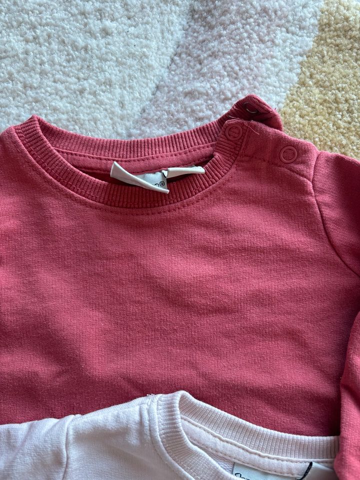 2 Sweatshirts Pullover Lupilu 62/68 in Frankenberg (Sa.)