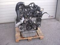 Motor Mercedes Sprinter 2.2 CDI 651955 163PS 129PS 136PS komplett Sachsen - Torgau Vorschau