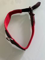Halsband rot mit Leder Niedersachsen - Bad Harzburg Vorschau