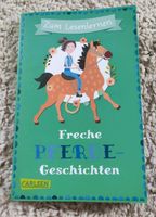 Kinder Buch zum Lesen lernen Pferde Geschichten Thüringen - Münchenbernsdorf Vorschau
