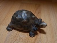 Schleich Schildkröte, Landschildkröte 1991 Sachsen - Pirna Vorschau