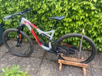 Specialized Stumpjumper 29“ Mountainbike MTB Fully Größe L Bayern - Collenberg Vorschau