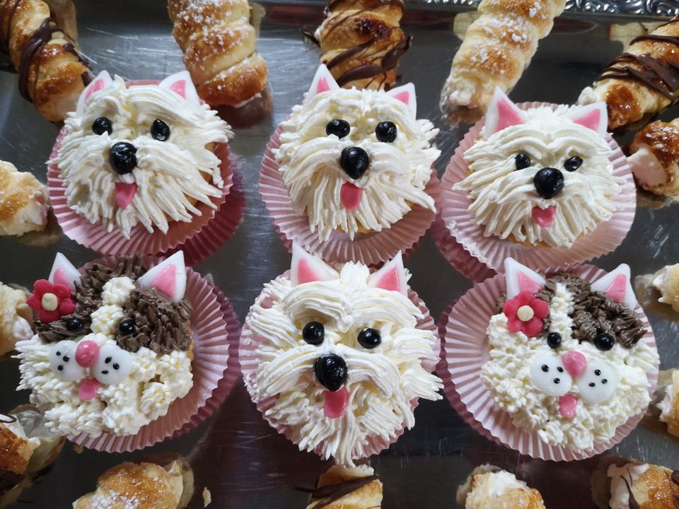 Hochzeitstorten, Torten, Kuchen in Haselbachtal