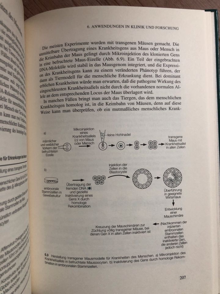 T.Strachan Das menschliche Genom Spektrum gebundenes Buch in Köln