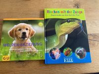 Welpen Erziehung und Riechen mit der Zunge Bayern - Waldkraiburg Vorschau