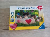 Puzzle Katzen Brandenburg - Cottbus Vorschau