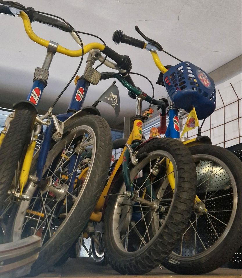 Puky Fahrräder alles 16 Zoll, jede Puky Fahrrad 70€ in Versmold