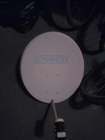 Satellitenschüssel mit LNB (Schwaiger) Essen - Essen-West Vorschau