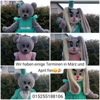 Bären,Hasen,Osterhase,Maskottchen,Kindergeburtstag,Evens,Partys, Bielefeld - Bielefeld (Innenstadt) Vorschau