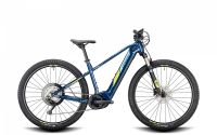 E-Bike Conway Cairon S 5.0 Hessen - Bad Nauheim Vorschau