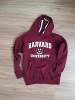 Hoody Harvard Gr. S Rheinland-Pfalz - Katzweiler Vorschau