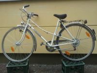 Nostalgie-Damenfahrrad Jungherz Baden-Württemberg - Tübingen Vorschau