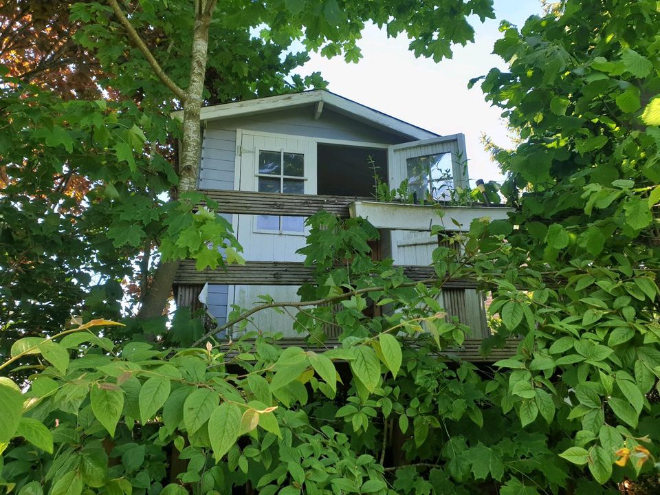 Baumhaus Hühnerstall Gartenhaus Schuppen Hochbett massiv Holz in Bad Segeberg