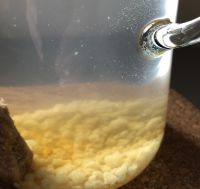 Bio Wasserkefir Japan Kristalle Kefir Brot backen Nordrhein-Westfalen - Ruppichteroth Vorschau