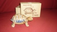 Wade of England - Tortoise Hessen - Niedernhausen Vorschau