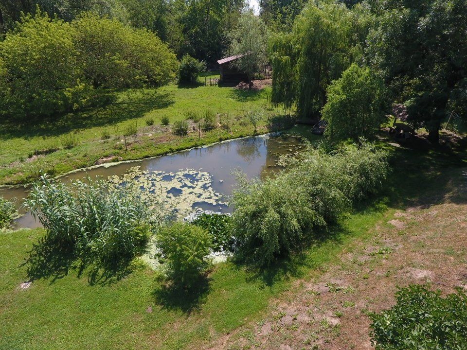 (AAAB) Renoviertes Landhaus in ruhiger Lage von Ungarn langfristig zu mieten in Zwickau