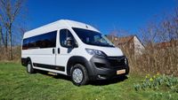 Opel Movano Fiat Ducato Peugeot Boxer 9 Sitzer Handicap VIP Baden-Württemberg - Erbach Vorschau