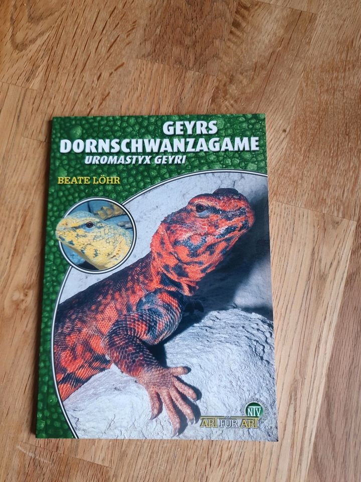 Buch Geyrs Dornschwanzagame Uromastyx Geyri in Melle