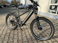 HNF Nicolai XD3, Bosch eBike, Carbon Gates, Enviolo Nordrhein-Westfalen - Hennef (Sieg) Vorschau