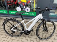 Riese Müller, Roadster touring, (neu, GPS), UVP: 4629 € Brandenburg - Fürstenwalde (Spree) Vorschau