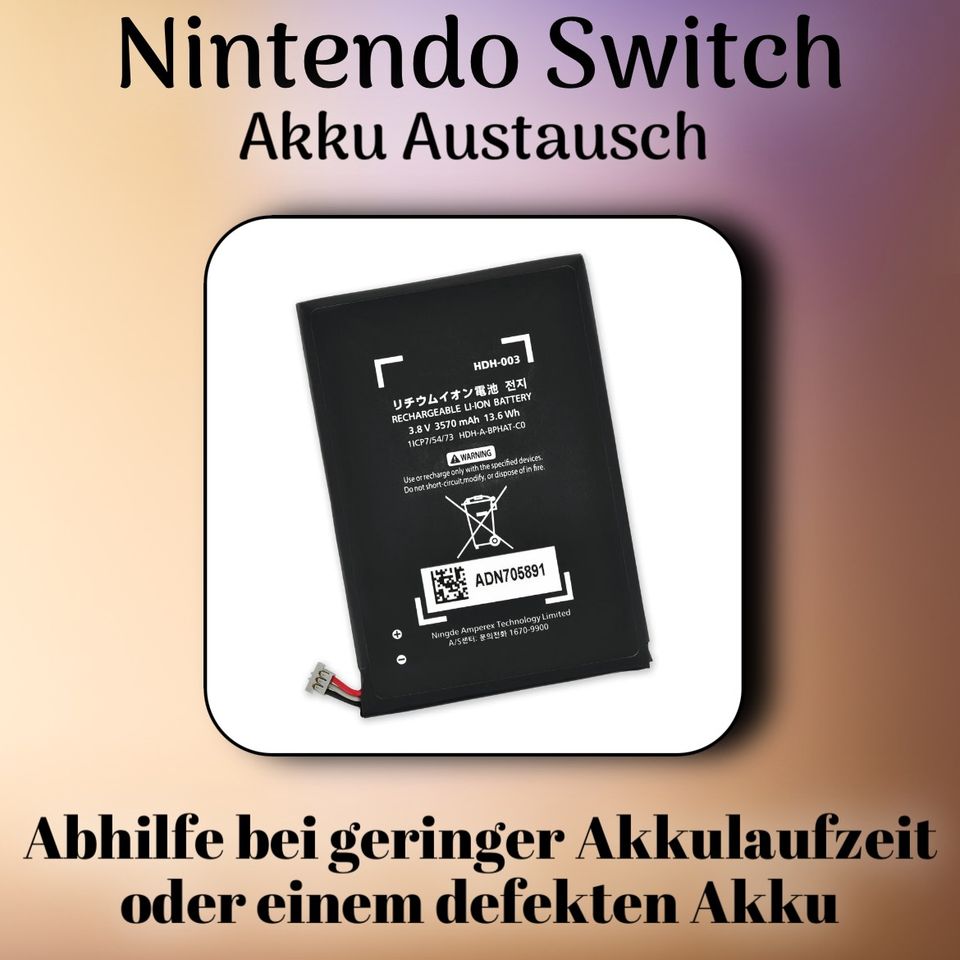 Nintendo Switch - Akku Austausch  Bei schnellem Akkuverlust in