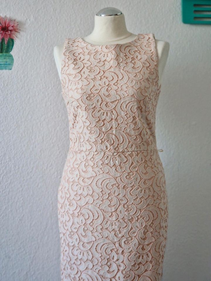 Kleid Italy gr XS/S Rinascimento Baumwolle Spitze Kleid in Berlin