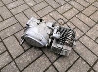 Motor Kreidler Florett RS Zylinder, Getriebe Flory LF LH RMC TM Rheinland-Pfalz - Reinsfeld Vorschau