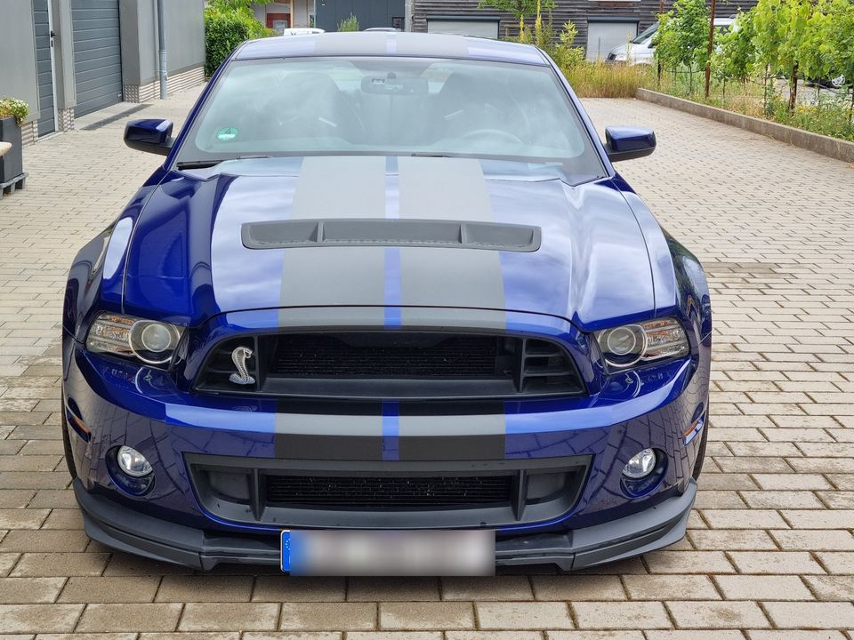 Shelby GT 500 5.8 L. Baujahr 2014 blau in Erligheim