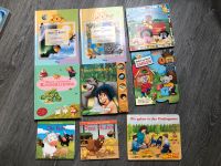 Bücher Disney Bauernhof Kinderlieder Zahlen Tiere Kindergarten Niedersachsen - Edewecht Vorschau