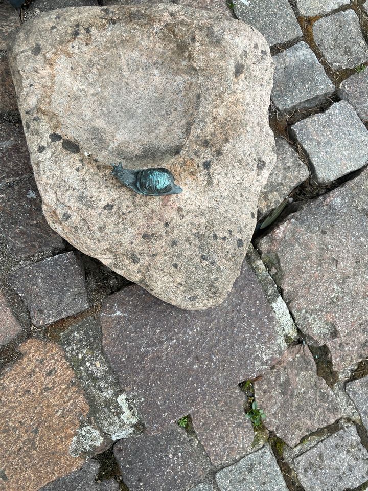 Vogeltränke mit Bronze Schecke in Raversbeuren